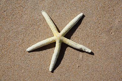 索尼取消两个服务型游戏 其中一个是《战神》